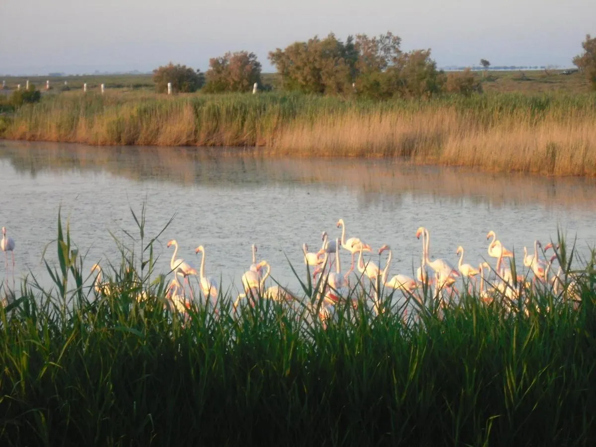 Chambre Les Flamants, Avec Vue Imprenable Sur Les Etangs, Les Oiseaux, Les Flamants Petit Dejeuner Compris Saintes-Maries-de-la-Mer 0*,  France